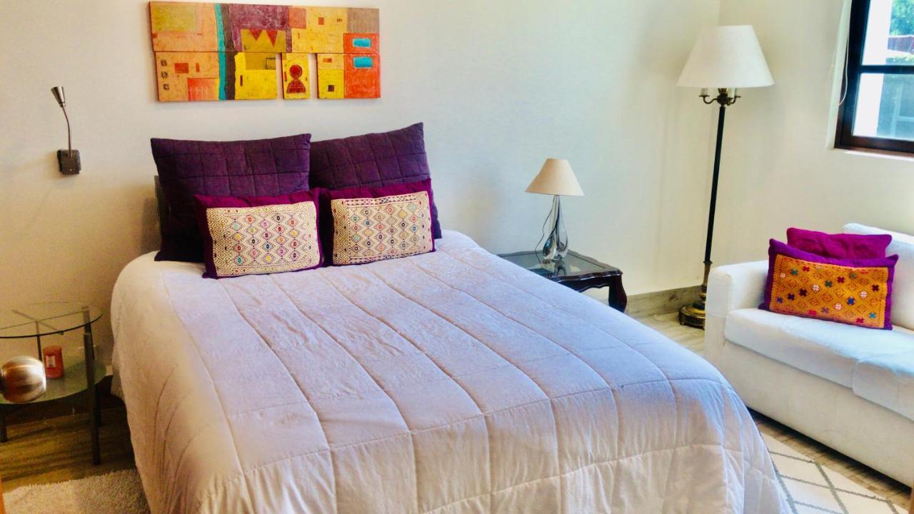 Habitaciones Coyoacan Mexico Extérieur photo