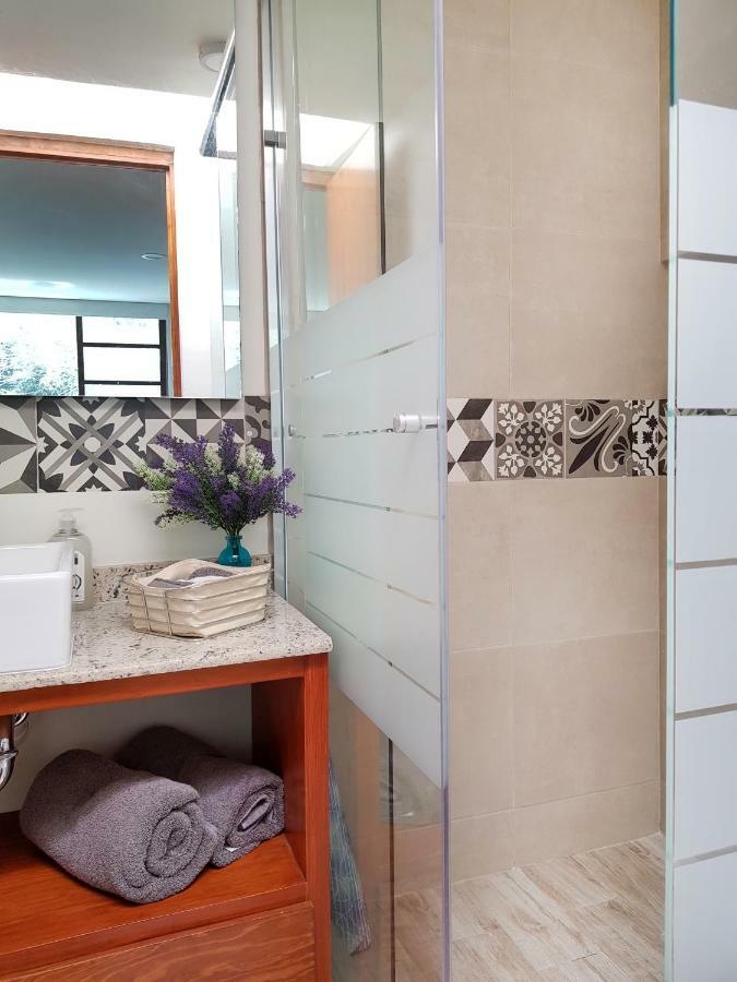 Habitaciones Coyoacan Mexico Extérieur photo